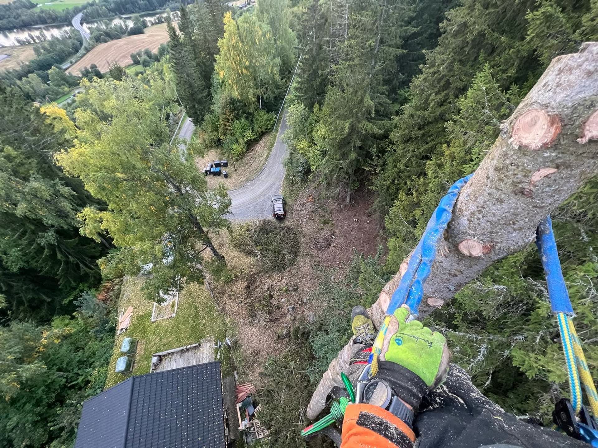 Utsikt fra toppen av et tre under klatrefelling, med tau og hanske i forgrunnen og dalen under